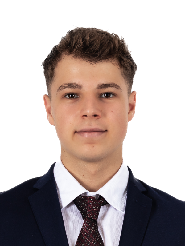 Andrei Lehene